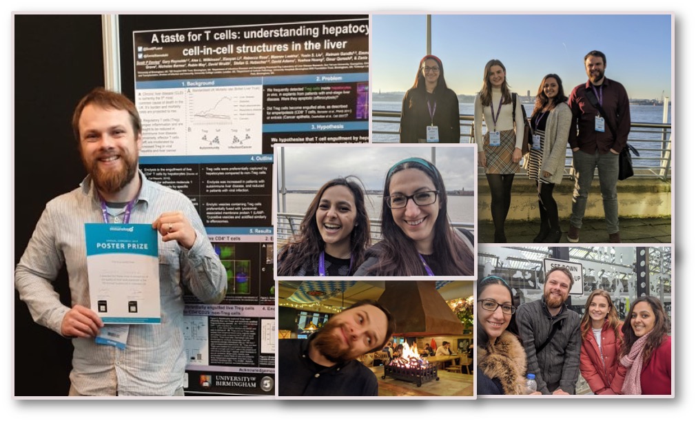 Stamataki Lab BSI 2019